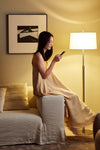 Butter Sofa Slipcovered