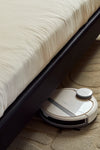 Cannele Bed