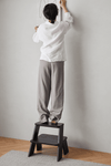 Fido Stepstool