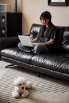 Omelette Sofa