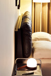 Omelette Bed