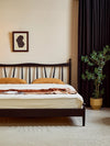 Solar Bed
