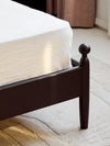 Solar Bed